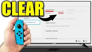 Как освободить место на Nintendo Switch (лучший способ!)
