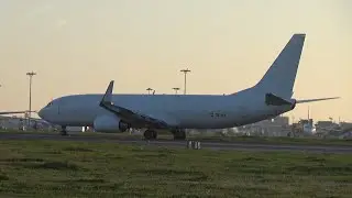 ASL Airlines Belgium Boeing 737-8AS(BCF)(W) OE-IXE (cn 38494/3141)