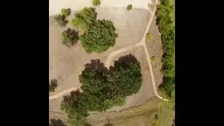FPV DJI Throttle Stick Error, Flew It Anyways, Fail or Success?