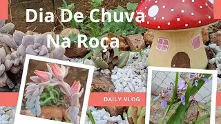 Rotina na Roça 🌾 Colhendo Cacho de Banana e Mostrando Flores em Dia de Chuva🌿