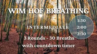 Wim Hof Breathing Technique | 3 Rounds | Intermediate | With Countdown Timer | No Talking