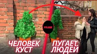 ПРАНК Живой Куст / Смешные ИСПУГИ людей