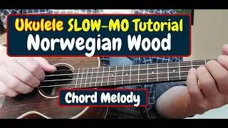 NORWEGIAN WOOD (Slow-motion UKE Tutorial with FREE TAB)