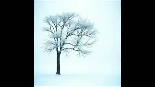 Blizzard ~Never be defeated Remix~