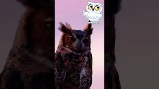 The Mysterious Night Birds | Horned Owl 🦉🦉🌳 #kidsvideo #learnseaanimals #animation #viral #trending