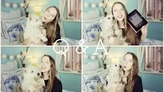 Agility Q&A | TheDogBlog
