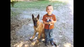 K9 Candidates