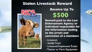 MCA Scammed Me