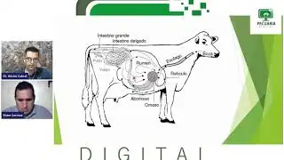 Aprende Nutrici&oacute;n Animal Curso Gratuito de Nutrici&oacute;n Animal