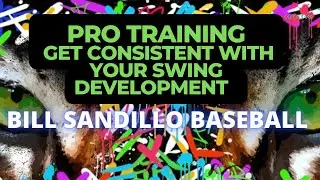 Hitter Development; Constantly in Development