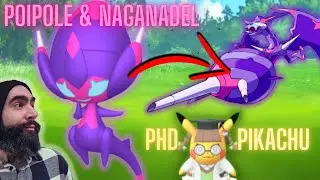 Can you evolve Poipole into Naganadel? How to get PhD Pikachu in Pok&eacute;mon GO!