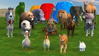 Long Slide Game with Cow Elephant Gorilla Hippopotamus Tiger 3d Animal Game Funny 3d Animals