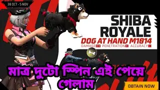 New Shiba Royale \\ SHIBA SURF EMOTE \\ মাত্র দুটো স্পিন এই পেয়ে গেলাম 😱