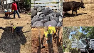 Unos enfermos de algo otros de otra cosa 🤷🏻‍♀️//fuimos por más piedra 🪨