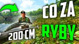 wszystkie ryby z RZEKA TYBER | #12 FISHING PLANET