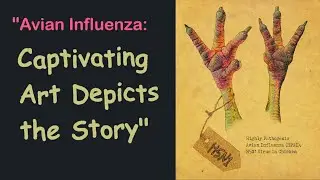 AVIAN INFLUENZA | Storytelling ART | Avian influenza Symptoms H5N1 | Bird Flu 2023 | Avian Flu