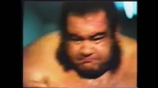 Kings of the Square Ring 1976