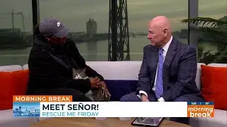 Rescue Me Friday: Meet Se&ntilde;or