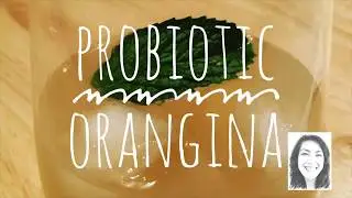 Probiotic Orangina