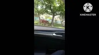الريف الجورجي باتومي