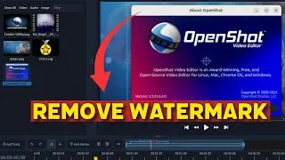 How to Remove Watermark in Openshot 2025?