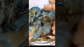 Easy and yummy salted egg buttered shrimp #butteredshrimp #saltedegg #shorts