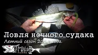 Ловля ночного судака. Джиг/Дропшот.