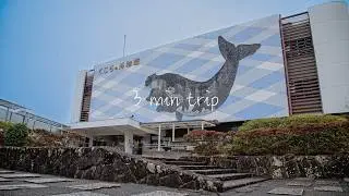【3 min trip】Taiji Whale Museum/Wakayama, Japan