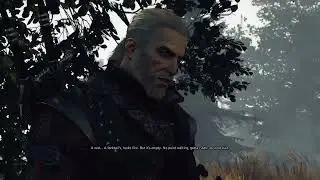 The Witcher 3: Wild Hunt Monster Contract: The  Dragon