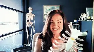 Bone Tissue