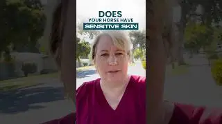 Why Your Horse Has Sensitive Skin #horse #horsehealth