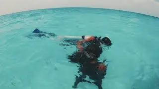 The best PADI diving school in the Maldives!