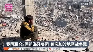 我国联合8国组海牙集团  追究加沙地区战争罪【2025.02.01 八度空间午间新闻】