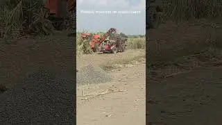 robotic machine usachi kapni#sugarcane harvesting #new advance technology #50people work onemachine#