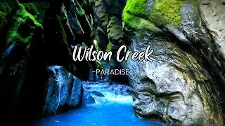 Wilson Creek Canyon 🇳🇿 Hidden Gem of New Zealand's Haast Pass