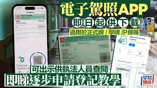 電子駕照APP｜即日起供下載  適用於正式牌、學牌、P牌等 一文睇清點樣申請｜星島頭條新聞｜電子駕照｜運輸署｜車牌｜駕駛執照｜駕駛人士｜揸車