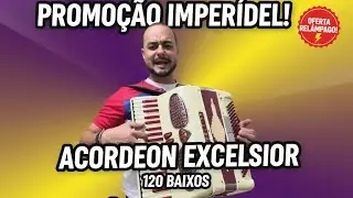 (Vendido✈️✈️✈️) Acordeon Excelsior 120 Baixos REDUZIDA 