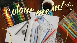 Bird Colouring Book Flip Through