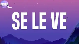Sech - Se Le Ve | Becky G, Rauw Alejandro, Maluma (Mix)