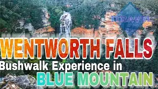 WENTWORTH FALLS - BUSHWALK // Blue Mountains