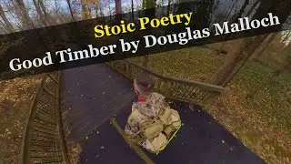 Stoic Poetry: Good Timber by Douglas Malloch