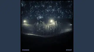 Wonder