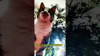 Счастливого НГ #новыйгод #newyear