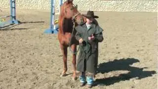 Improve Your Horse's Ground Manners