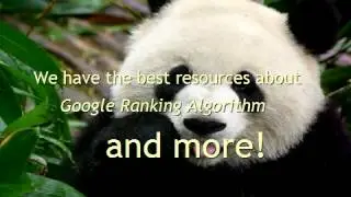 Google Ranking Algorithm - Are you ready to transform your low ranking, struggling websites...?