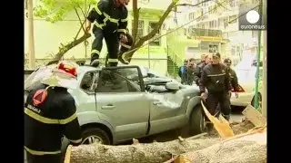 Man inches from being crushed as tree falls on his car