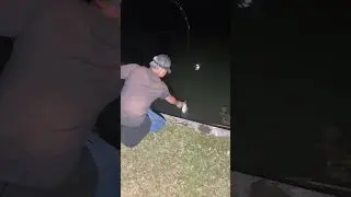 Fishing With Eagle Claw Jigs: Catching Beautiful Bass: Urban Fishing: #bass #fishing