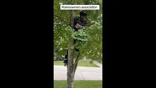 Funny HOA