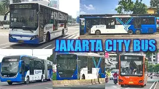Jakarta City Bus.. Bus Scania, Mercedes-Benz, Zhongtong & Hino