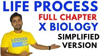 Life Processes Full Chapter 6 | CBSE Class 10 Science | Hindi Explanation